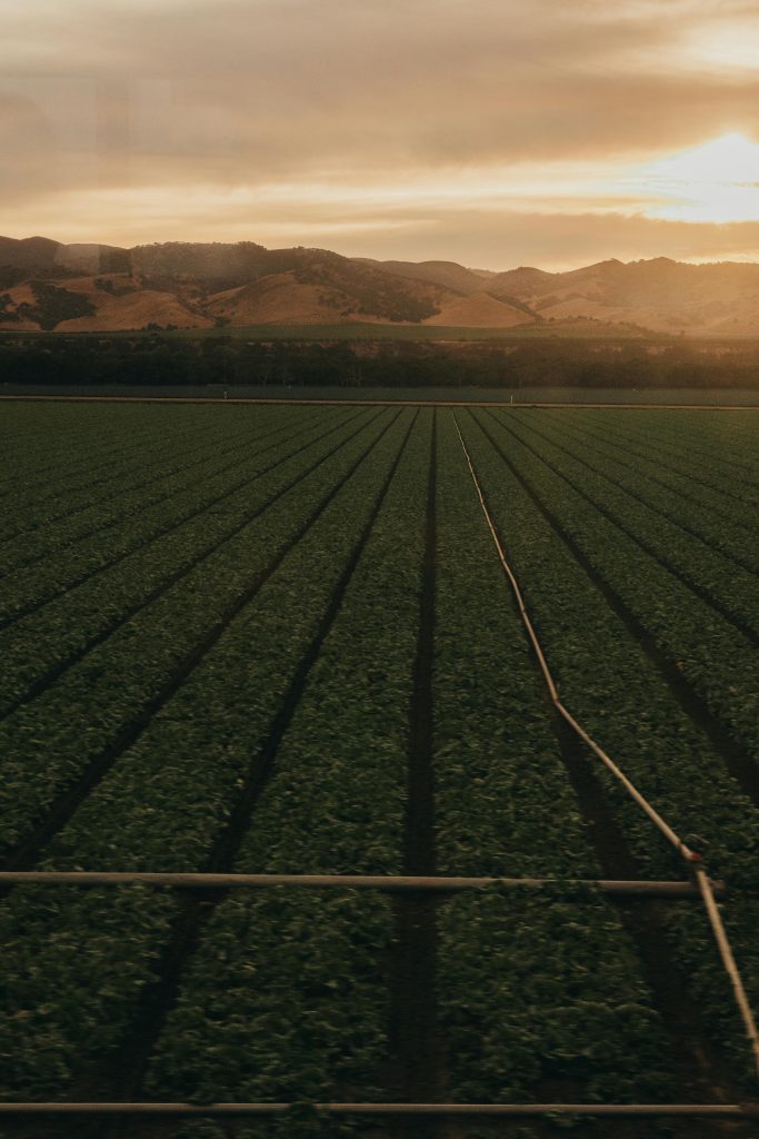 Sunset view of expansive agricultural fields with mountain backdrop in California.